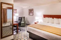 Best Western Vista Inn at the Airport