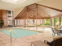 Ann Arbor Regent Hotel and Suites - piscina