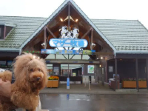 Hota Beach فنادق في 