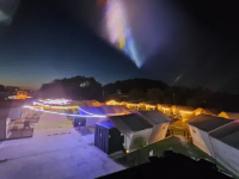 Daebudo Glam Forest Daebudo