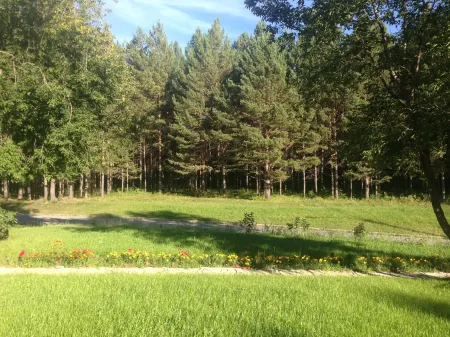 Отель «Сосновый бор»