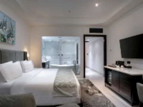 西維迪森林山酒店 索良酒店