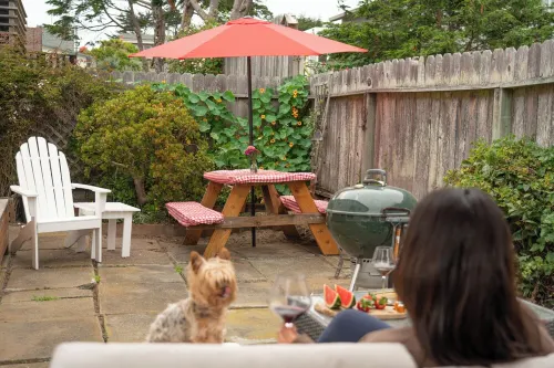 Sundog Cottage - Clean & Cozy - EV - Walk to Food & Beach - Fenced Yard for Dog