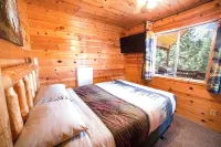 3 Story Cabin w/Spacious Deck