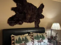 The Pinecone Cabin. Twenty minutes from Wolf Creek Pass. Hotels in South Fork