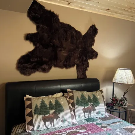 The Pinecone Cabin. Twenty minutes from Wolf Creek Pass.