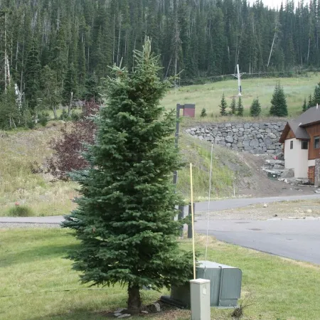 Ski In/Ski out - Great Location in Big Sky Mountain Village