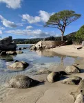 Luxury villa with private pool 500m from the beach St Cyprien Porto Vecchio -  Ferienhäuser