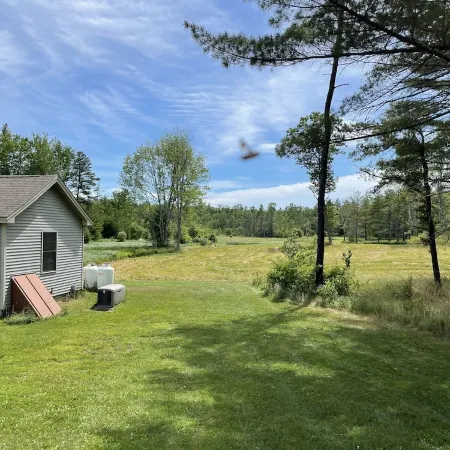 Five miles from the beach, newly remodeled home with lots of privacy.