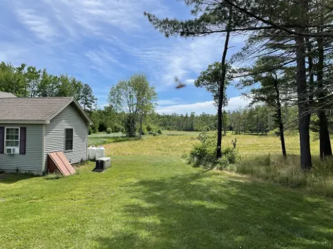 Five miles from the beach, newly remodeled home with lots of privacy.