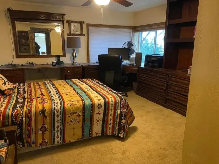 Patch of grass Ocotillo