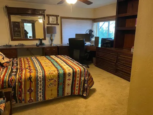 Patch of grass Ocotillo