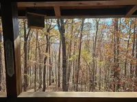 Relaxing 2 bedroom 2 bath cabin minutes from Dahlonega city center! Hotel a Lumpkin County