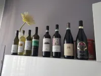 Elegant apartment in the city center