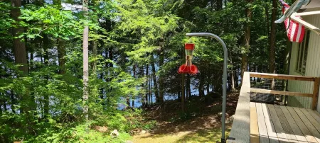 Lakefront Home w/Fireplace near Lk George. Dog-friendly! Telecommuters welcome!