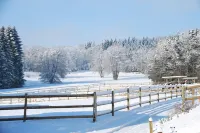 Vacation in the Bavarian Forest paradise Hotels in Straubing-Bogen