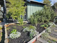 Cosy, 1930's Country Style Cottage, Walking Distance From Town.