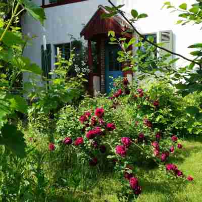 Romantisches Ferienhaus Mitten in der Natur Hotel Exterior