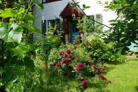 Romantisches Ferienhaus Mitten in der Natur