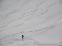 Large Studio Cabin with magnificent view of the Mountains Hotels in Vallouise