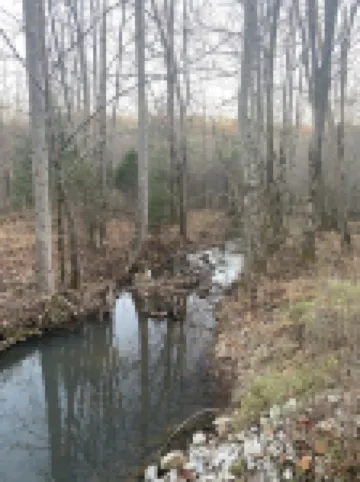 Quiet Comfortable  Mountain Retreat, with Fast 500 Mbps Wifi