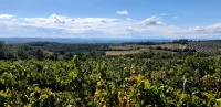 L'Instant Provence