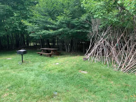 Welcome to Mt. Chillmore.  Walking Distance to the Ski Resort!