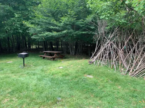 Welcome to Mt. Chillmore.  Walking Distance to the Ski Resort!