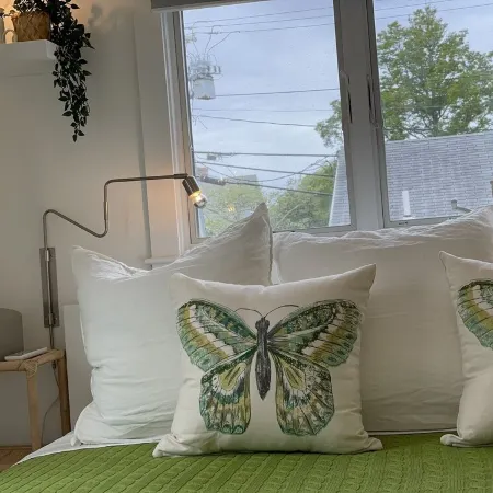 Newly renovated house in Brandt Point, right near town and Children's Beach
