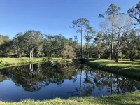 Country Cottage, 40 Acres, Outdoor Kitchen  w/ B-que, Campfire, & Horse Stables.