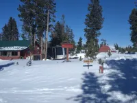 Mountain Top Cabin Refuge