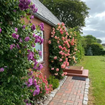 HOLIDAY APARTMENT WITH OWN SEA ACCESS AND GARDEN Отели в г. Дагебюлль
