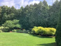 A Pleasant Retreat- No Cleaning Fee & New Discounts Hotels near Carriage HIlls Park