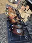 Outdoorsman Paradise- 1/2 mile from Lake Oahe Hotels in Hughes County