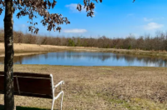 The Gemstone Cabin. Diamond hunters headquarters. Near The Crater of Diamonds