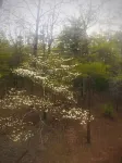 Our Nest, a well loved quiet retreat in Foxwood Hills Resort near Lake Hartwell.