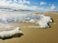 Spacious, comfortable & well appointed. Close to Rehoboth & Dewey beaches.