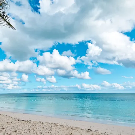 NEW Stunning Beachfront Condo at the Coral Beach