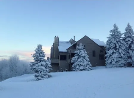 Mountain View Escape - 1BR Ski-in/out Rustic Condo