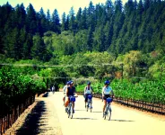 Family Retreat & Workspace! Near 30+ vineyards and Plaza! Parking. WiFi.