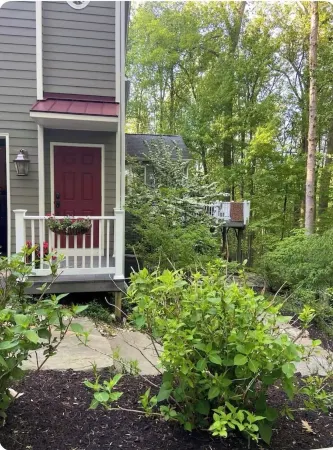Large Open Suite nestled among the Trees