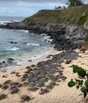 Come to Maui-  Beautiful 2BD/3BA  OceanView Kapalua Ridge Villa