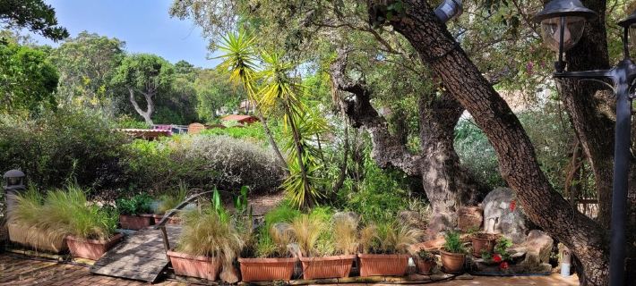 direct beach area, large terrace, summer kitchen, high equipment, pizza oven Hotels in Zonza