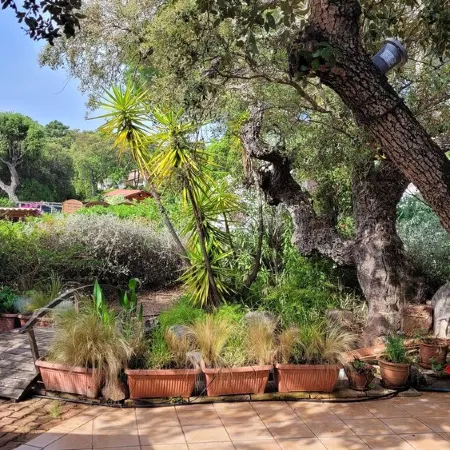 direct beach area, large terrace, summer kitchen, high equipment, pizza oven