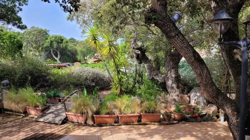 direct beach area, large terrace, summer kitchen, high equipment, pizza oven