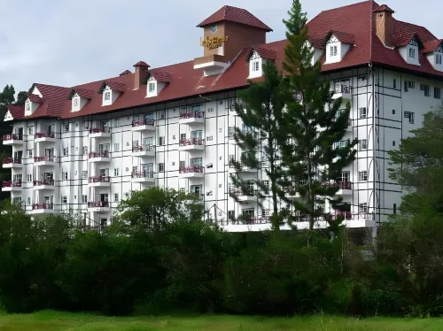 Misty Apartments@Iris House Resort