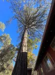 Welcome to Red Pine Retreat, your mountain getaway!
