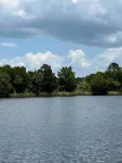 Perfect Getaway #2 Near Rainbow Springs and Withlacoochee Trail head