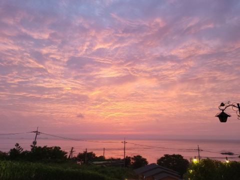 알로하 무인텔 이미지