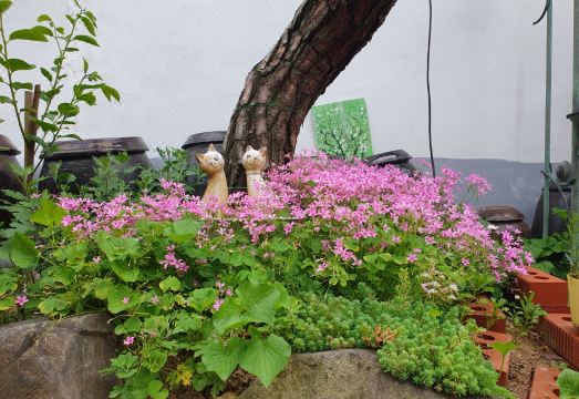 그리운집의 고즈넉한 한옥 정원 또는 현관